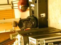 Bulk upload of various tech pix