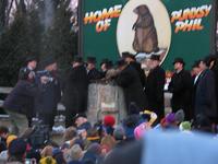 groundhog 