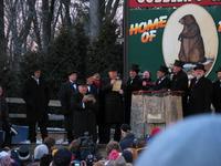 groundhog 