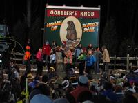 groundhog 