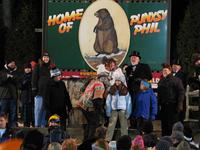groundhog 