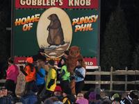 groundhog 
