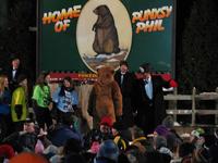 groundhog 