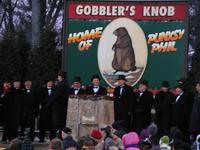 groundhog 