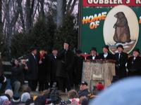 groundhog 