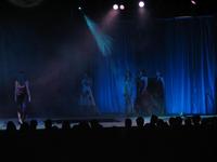 Lunar Gala 