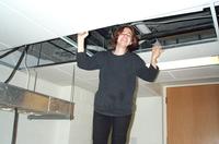 Megin hanging from the cable tray.