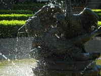 15067