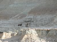 badlands national park rjs3 crosscountry usa road trip 