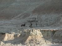 badlands national park rjs3 crosscountry usa road trip 