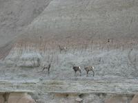 badlands national park rjs3 crosscountry usa road trip 