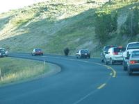 road trip yellowstone national park rjs3 crosscountry usa 
