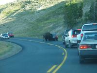 road trip yellowstone national park rjs3 crosscountry usa 