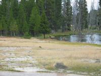 road trip yellowstone national park rjs3 crosscountry usa 