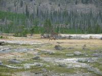 rjs3 crosscountry usa road trip yellowstone national park 