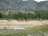 rjs3 crosscountry usa road trip yellowstone national park 