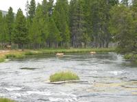 rjs3 crosscountry usa road trip yellowstone national park 