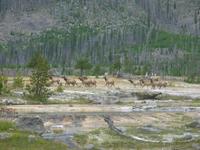 rjs3 crosscountry usa road trip yellowstone national park 