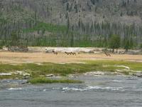rjs3 crosscountry usa road trip yellowstone national park 