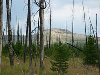 rjs3 crosscountry usa road trip yellowstone national park 