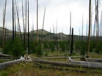 rjs3 crosscountry usa road trip yellowstone national park 