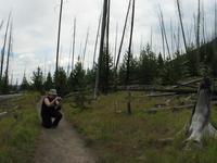 rjs3 crosscountry usa road trip yellowstone national park 