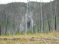 rjs3 crosscountry usa road trip yellowstone national park 