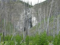 rjs3 crosscountry usa road trip yellowstone national park 