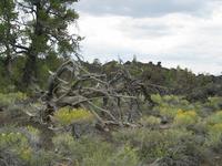 craters of the moon national monument rjs3 crosscountry usa road trip 