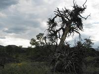 craters of the moon national monument rjs3 crosscountry usa road trip 