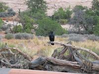 national park rjs3 crosscountry usa road trip 