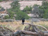 national park rjs3 crosscountry usa road trip 
