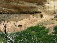 mesa verde national park rjs3 crosscountry usa road trip 