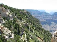 grand canyon national park north rim rjs3 crosscountry usa road trip 