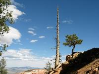 bryce canyon national park rjs3 crosscountry usa road trip 