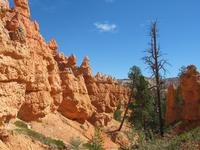 bryce canyon national park rjs3 crosscountry usa road trip 