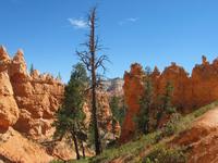 bryce canyon national park rjs3 crosscountry usa road trip 