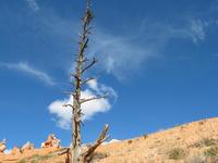 bryce canyon national park rjs3 crosscountry usa road trip 