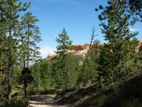 bryce canyon national park rjs3 crosscountry usa road trip 