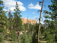 bryce canyon national park rjs3 crosscountry usa road trip 