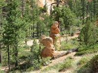 bryce canyon national park rjs3 crosscountry usa road trip 
