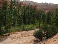 bryce canyon national park rjs3 crosscountry usa road trip 