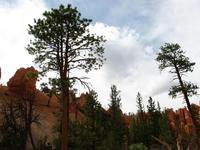 bryce canyon national park rjs3 crosscountry usa road trip 