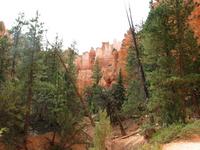 bryce canyon national park rjs3 crosscountry usa road trip 