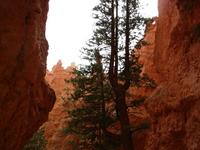 bryce canyon national park rjs3 crosscountry usa road trip 