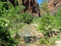 national park rjs3 crosscountry usa road trip zion 