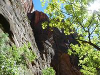 national park rjs3 crosscountry usa road trip zion 