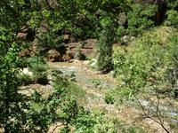 national park rjs3 crosscountry usa road trip zion 