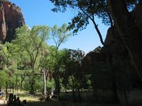 national park rjs3 crosscountry usa road trip zion 