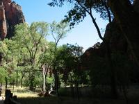 national park rjs3 crosscountry usa road trip zion 